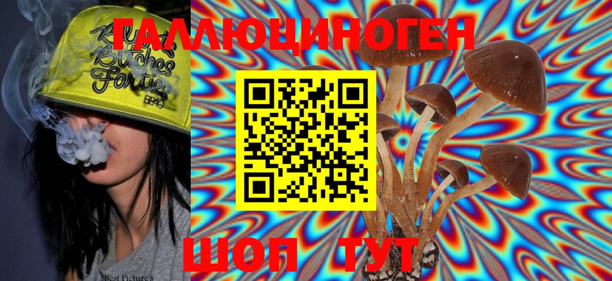 Псилоцибиновые грибы Cubensis Семёнов