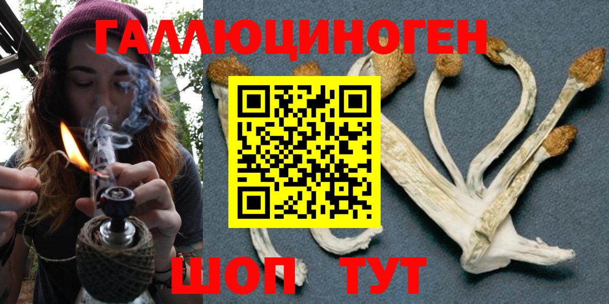 Псилоцибиновые грибы Psilocybine cubensis  Вход с VPN  Семёнов 